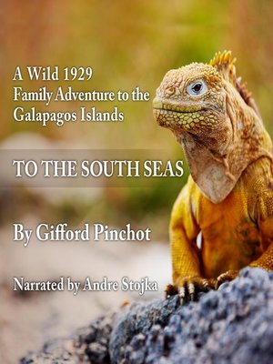 cover image of To the South Seas